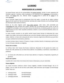 CUIDADO ESTETICO DE MANOS Y PIES. Página 1
