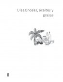 Oleaginosas, aceites y grasas