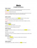 LA MARIA RESUMEN POR CAPITULOS