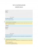 Test de autoevaluacion, energia eolica
