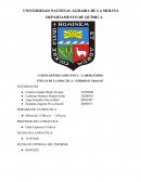 PRÁCTICA: “LÍPIDOS O GRASAS”