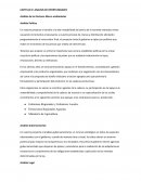 Análisis de los Factores Macro ambientales