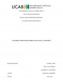 Elaboración del análisis externo, interno y matriz DOFA