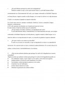 ¿Por qué debemos proteger los suelos de la degradación?