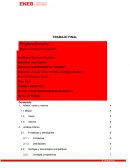 Estrategia BACHI BARCELONA