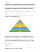 Estudio Psicografico