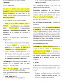 Agonistas y antagonistas opioides
