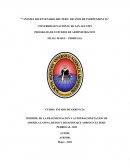 INFORME DE LA FRAGMENTACION Y AUTOFRAGMNETACION DE AMERICA LATINA, RETOS Y DESAFIOS QUE AFRONTA EL PERU