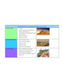 APORTES DE LAS CIVILIZACIONES ANTIGUAS