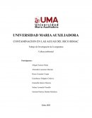 Contaminación del rio Rímac