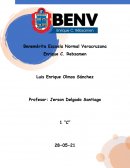 Propositos y contenidos de la educacion basica II Ensayo