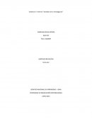 Informe variables de la investigacion
