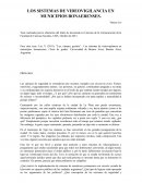 LOS SISTEMAS DE VIDEOVIGILANCIA EN MUNICIPIOS BONAERENSES