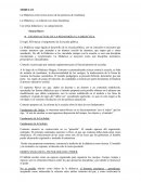 La Didáctica como teoría acerca de las prácticas de enseñanza