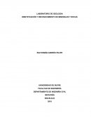 Geologia