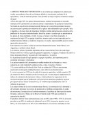 MODELO PRIMARIO EXPORTADOR