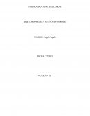 LOS JOVENES Y SUS NOUEVOS ROLES