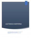 LECHE MATERNA VS LECHE DE FORMULA