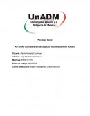 Psicología Social ACTIVIDAD 2 (Fundamentos psicológicos del comportamiento humano)