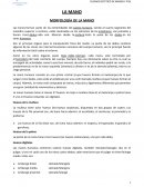 CUIDADO ESTETICO DE MANOS Y PIES