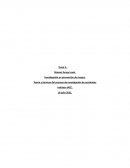 Teoría y técnicas del proceso de investigación de accidentes