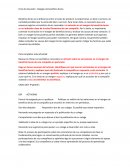 Analisis empresas. Margen de beneficio bruto