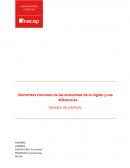 Elementos Comunes de las economías de la región y sus diferencias