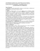 Actividad practica formativa. Valoración