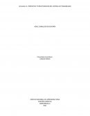 PROPUESTA .ESTRUCTURACION DEL SISTEMA DE TRAZABILIDAD