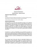 Análisis de diferencias culturales del Ecuador y Sudáfrica y Bélgica