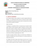 Liderazgo, tipos y características de los líderes