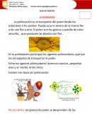 La polinizacion en las plantas