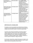 Riqueza Ecológica De Hábitat Afrocolombianos