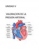 VALORACION DE LA PRESION ARTERIAL