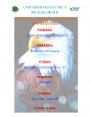 Medicina veterinaria