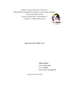 ORGANIZACIÓN CURRICULAR