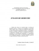 Derecho administrativo. Administración Pública