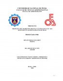 PROYECTO PROPUESTA DEL MARKETING DIGITAL Y SU INFLUENCIA EN LOS DELIVERYS EN LOS RESTAURANTES DE PIURA