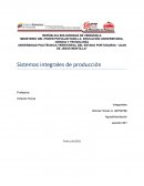 Sistemas integrales de producción