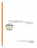 Ergonomia Instituto Tecnológico de Querétaro