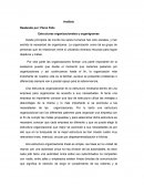 Análisis. Estructuras organizacionales y organigramas