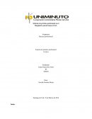 Informe de práctica profesional en el Hospital Local de Yotoco E.S.E