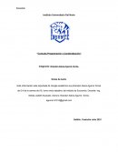 Consulta de programación y canderalización