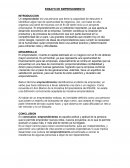 ENSAYO DE EMPRENDIMIENTO