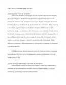 RECURSO DE INCONFORMIDAD TRasparencia