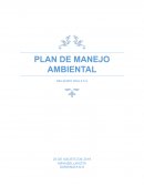 PLAN DE MANEJO AMBIENTAL BELLAVISTA COAL S.A.S