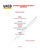 Administración de Empresas. Plan Ejecutivo