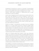 SEGUIMIENTO Y CONTROL DEL PLAN DE MARKETING YANBAL