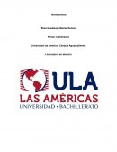 Ensayo teoria economica