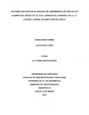 Factores que afectan el proceso de comprensión lectora en los alumnos del grado 5°B